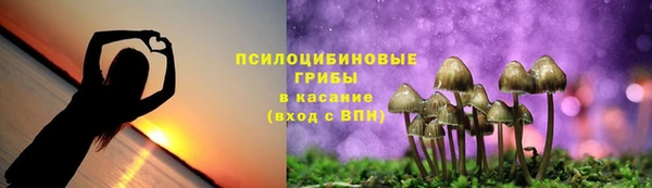 тгк Кукмор