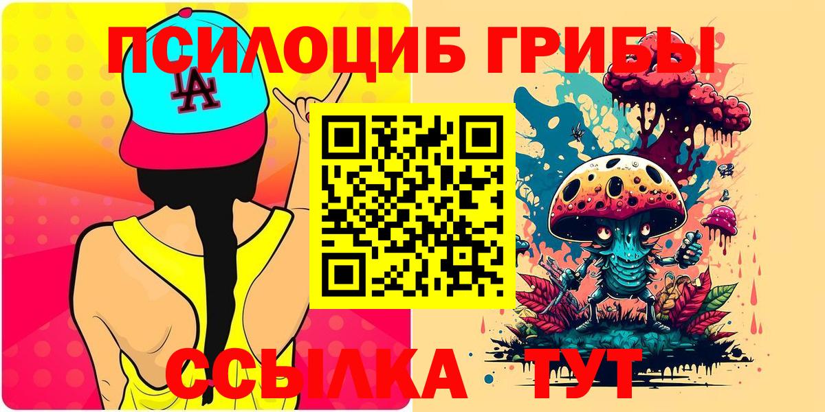 Новосибирск  Псилоцибиновые грибы Cubensis  Псилоцибиновые грибы мицелий  хочу наркоту  Вход с VPN 