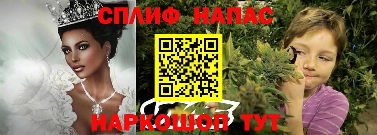 Канабис ГИДРОПОН Новосибирск