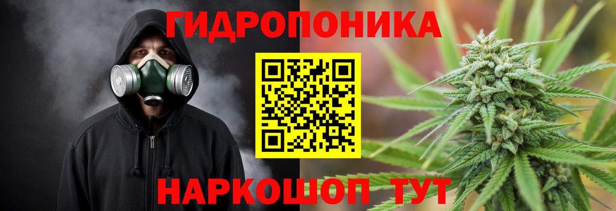 Каннабис конопля  Вход с VPN  Новосибирск  Конопля марихуана  Бошки марихуана AK-47  Шишки марихуана марихуана 